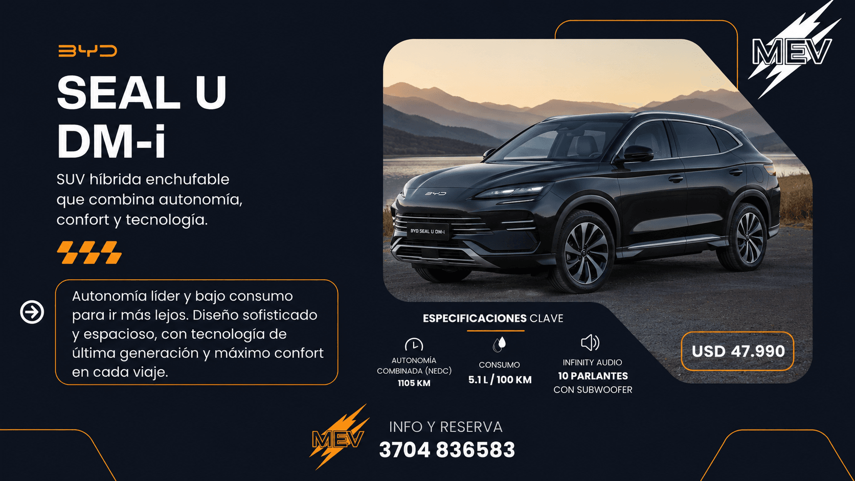 Banner BYD